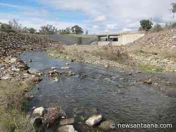 OC approves creek herbicide pause: Wagner and Foley clash over next steps