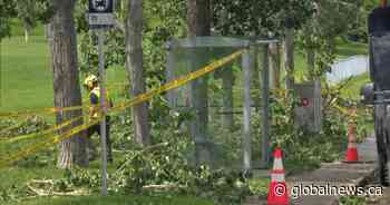 Cleanup underway after ‘nasty’ Alberta storm topples trees, damages roofs and buildings
