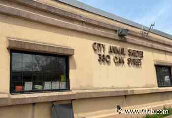 Kennels full at the City of Buffalo Animal Shelter