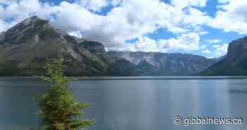 Large area in Banff National Park closed after bear seeking food, damages tents