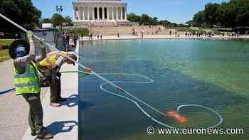 Washington's Lincoln Memorial pool turns green days after renovation