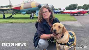 'Quiet cars' prompt change to guide dog training