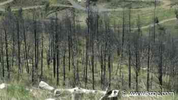 New Mexico lawmakers see firsthand what local agencies are doing to restore Ruidoso