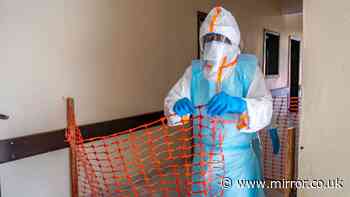 Ebola virus could hide in human bodies for YEARS without patients even knowing