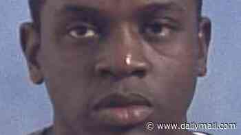 Judge granted Jamaican paedophile the right to enter Britain as barring him would 'breach his human rights'