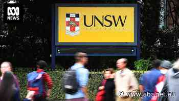 'Find something else': Academics warn of workload as uni rankings released