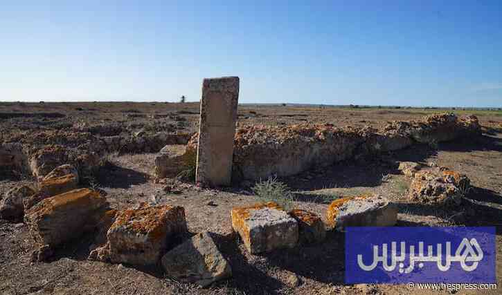 باحثون مغاربة يعيدون رسم خريطة الحياة البحرية قبل 358 مليون سنة‬