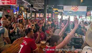 Croatian fans rally in Washington as city's unofficial team
