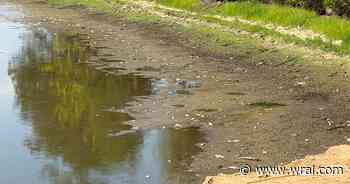 Severe drought triggers fish kill at Lake Wilson. Conditions expected to worsen in coming weeks