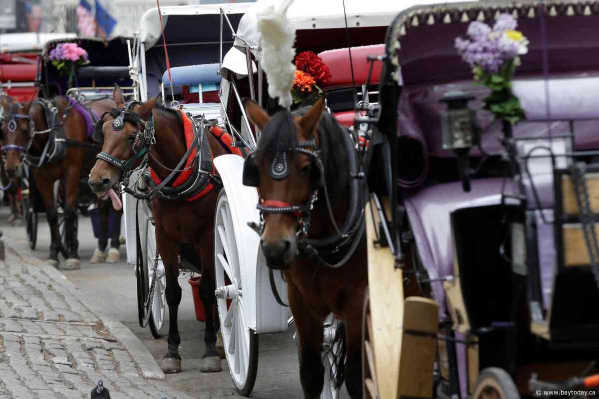 Teenager dies after being thrown from horse-drawn carriage in NYC's Central Park