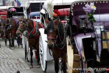 Teenager dies after being thrown from horse-drawn carriage in NYC's Central Park