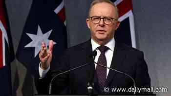 Who's exempt from Albo and Jim's capital gains tax and trust changes? PM and Treasurer announce changes to their property tax revolution