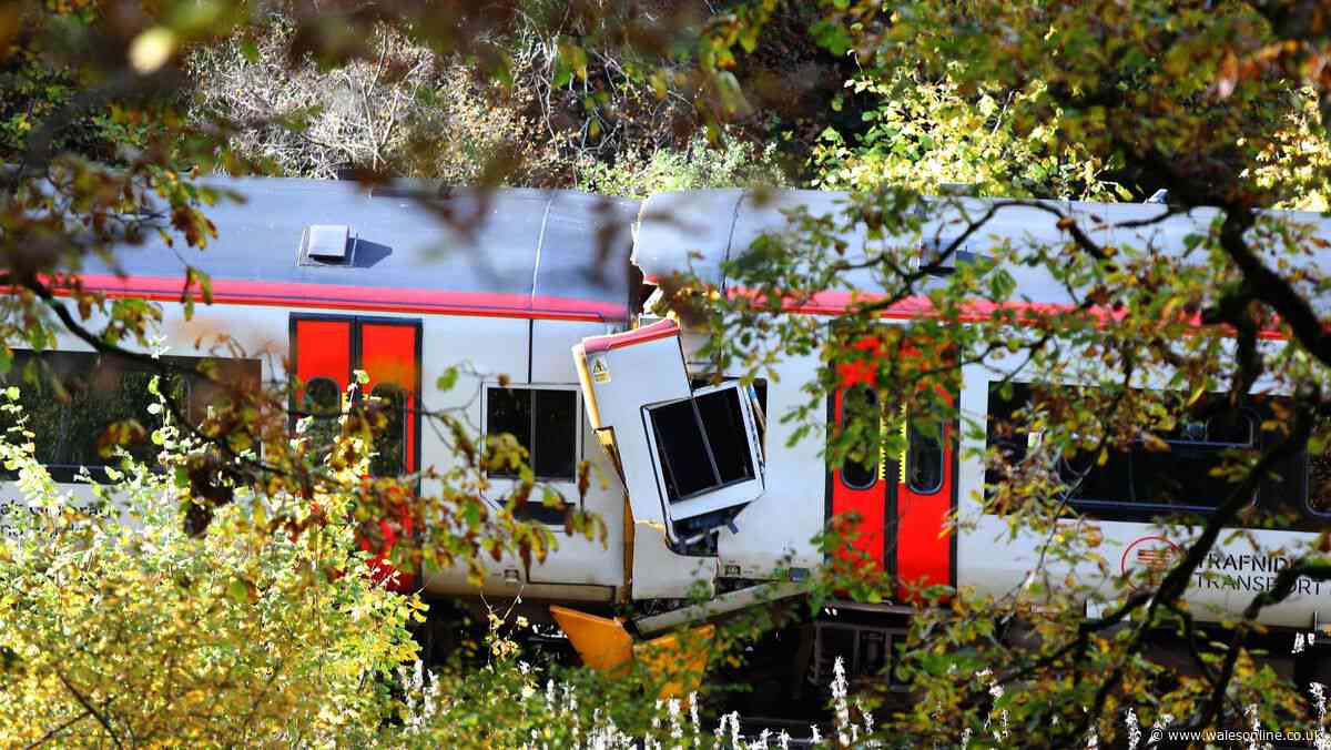 Welsh rail body criticised over man's death in head-on train collision