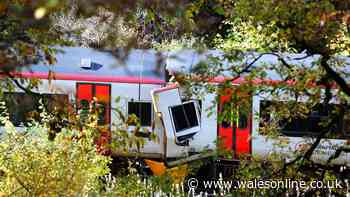 Welsh rail body criticised over man's death in head-on train collision