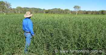 Drought-proof cattle fattening country at an attractive $7000 a beast area