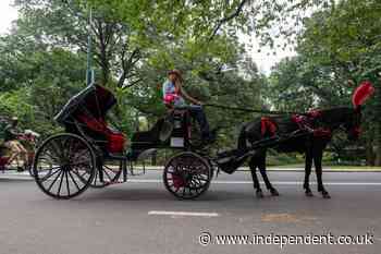 18-year-old dies after being thrown from horse-drawn carriage in Central Park