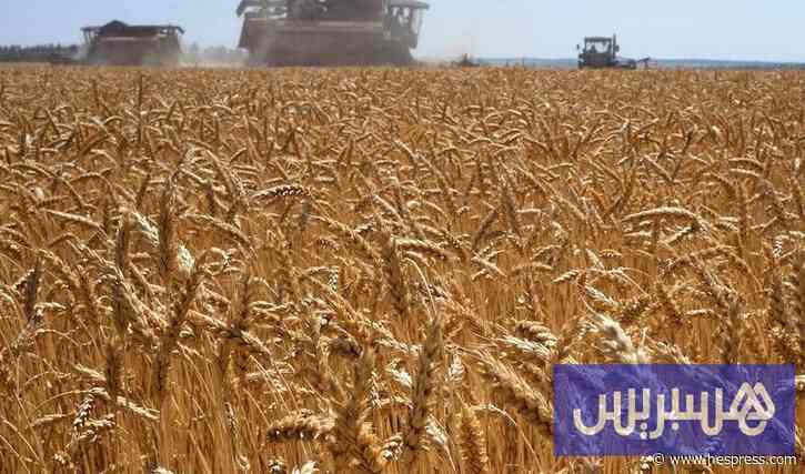 الحصاد يوفر 65% من الطلب بتونس