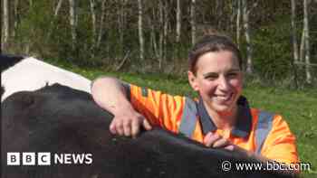 Dairy farm's fundraiser after losing milk contract