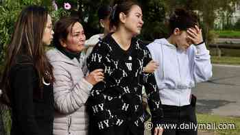 Cabramatta crash: Heartbroken parents forgive driver after children killed while crossing the road
