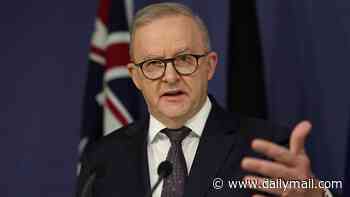 Anthony Albanese defends Pauline Hanson after a protest stunt during her National Press Club speech - but takes aim at One Nation's cost-of-living agenda