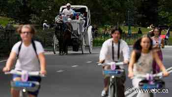 Teen dies after being thrown from horse-drawn carriage in New York's Central Park