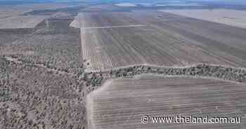 Warrindilla presents with 3407 acres of well developed country | Photos