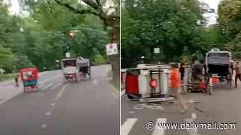 Teenage tourist killed after carriage horse bolts from driver in Central Park as terrifying footage shows moment coach flips