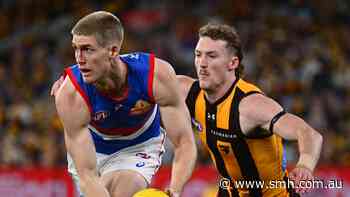 ‘Half a scoop of vanilla’: Bevo takes aim at Jordan Lewis over Tim English trade speculation