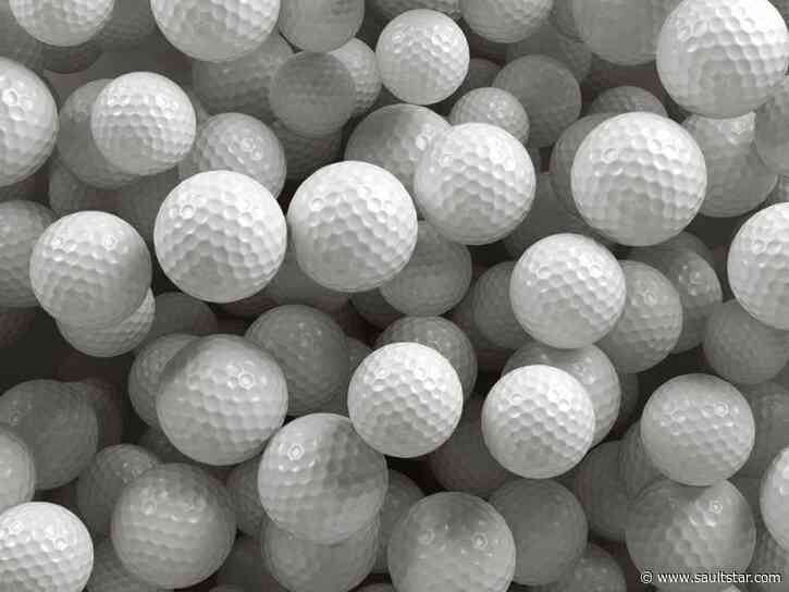 Police patrol Sault golf course in 1976: IN OTHER YEARS
