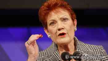Pauline Hanson's One Nation demands migrants put Australian identity ahead of ethnicity