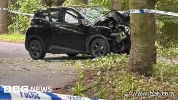 Man held after two seriously injured in tree crash