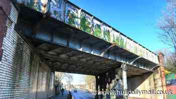 Animal charity defends Hull bridge clean-up amid bird welfare concerns