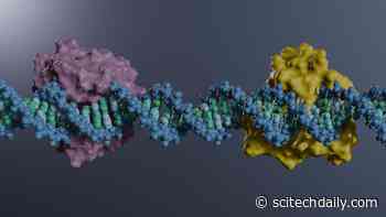 Researchers Capture the First Atomic-Level Images of a Critical Human DNA Repair Enzyme