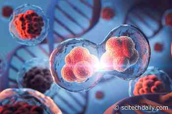 Scientists Just Discovered a Cellular Survival System That Was Never Supposed To Exist