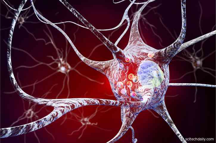 Scientists Discover Brain-Protecting Peptide That Could Change Parkinson’s Treatment