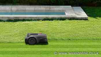 'Game-changer' robot lawnmower now lowest ever price beating early Prime Day deal