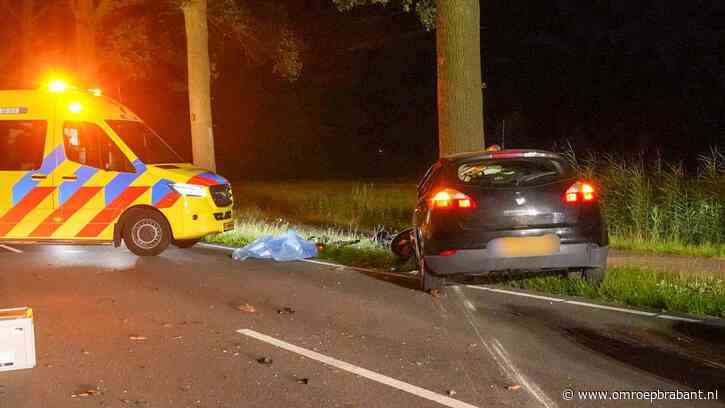 Auto knalt tegen twee bomen in Bakel, brandweer moet bestuurder bevrijden