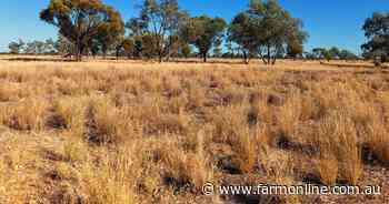 Big rains delay sale of 100,000 acres-plus of quality 'salad bowl' country