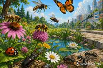 Insekten sind Superhelden im Tierreich