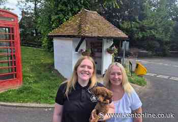 Is this Kents cutest bus shelter? Stunning makeover wows villagers