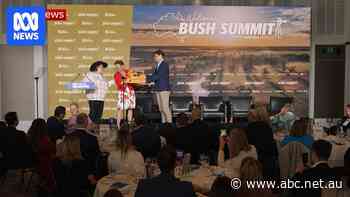 Gina Rinehart gifts Pauline Hanson a symbolic orange bulldozer