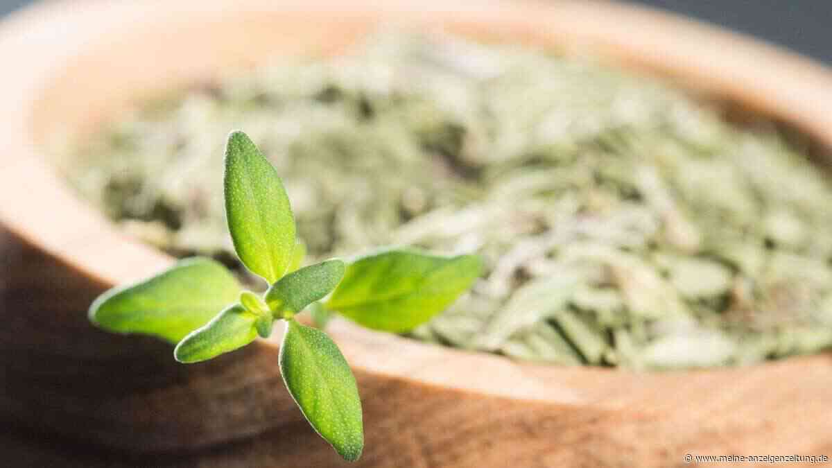 Frischer Thymian: Mitkochen oder besser später hinzufügen?