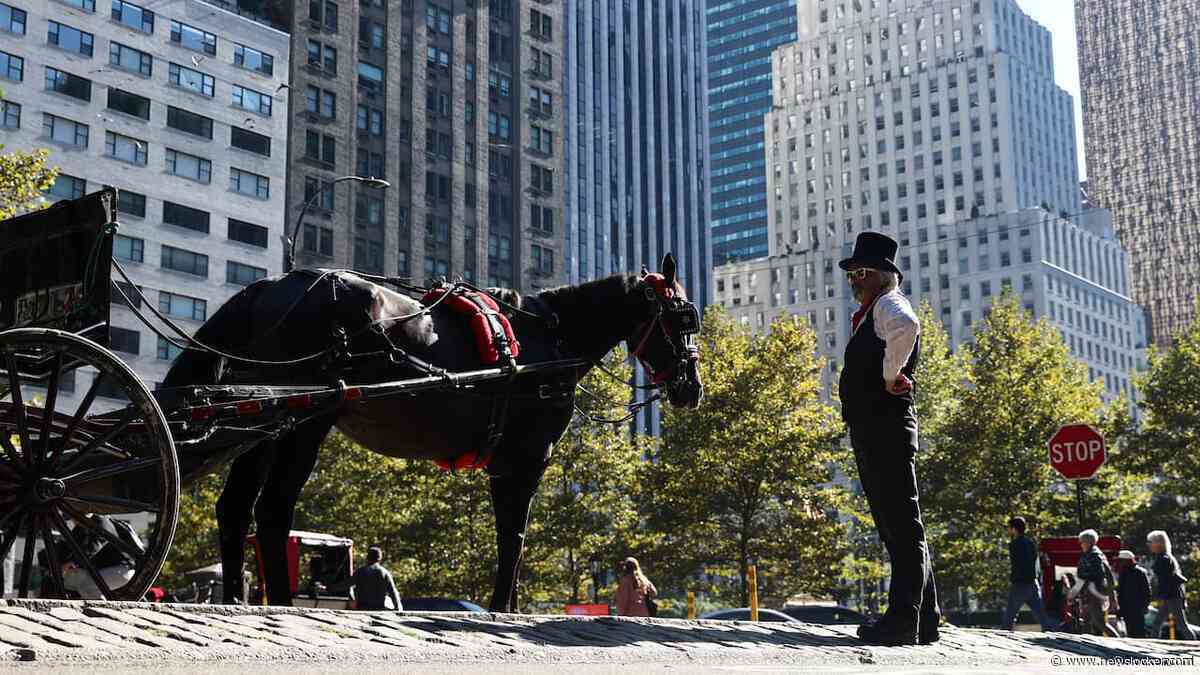 Paard slaat op hol in Central Park, tiener komt hard ten val en overlijdt