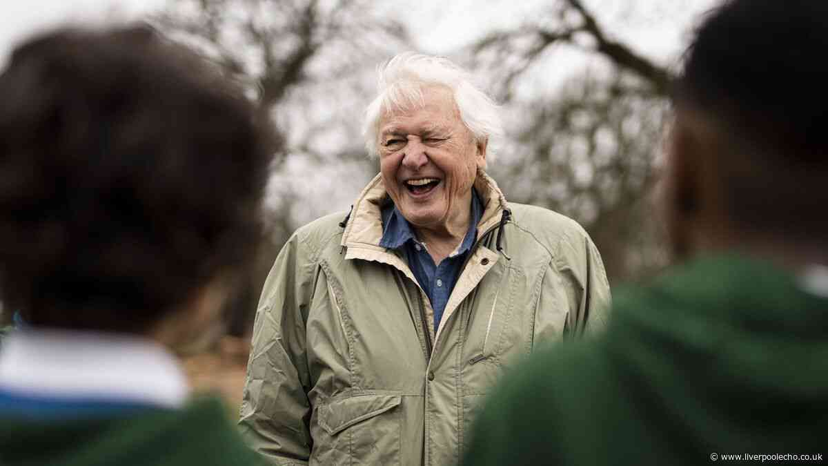 David Attenborough's tip for attracting butterflies will 'bring great pleasure'