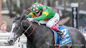 Bustling hunts firmer footing at Randwick after long fall from Everest