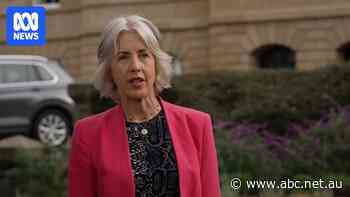 Greens leader quizzed on her comparison of Jeremy Rockliff with Joseph Stalin