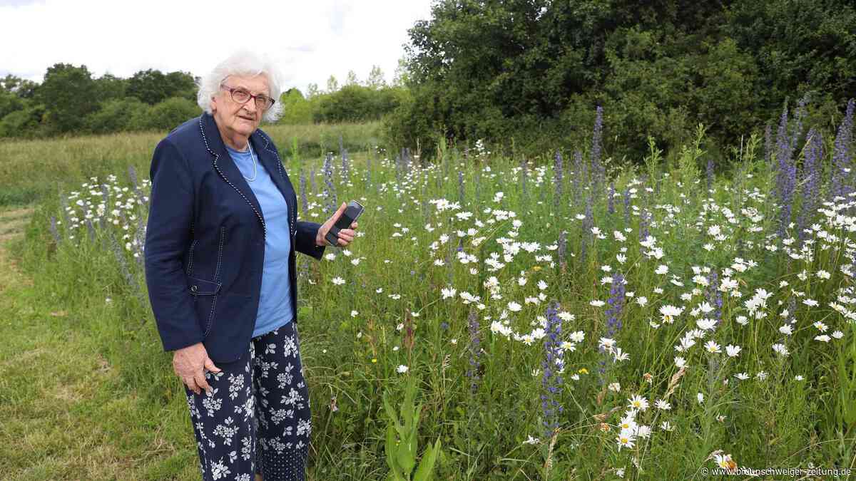 Anwohnerin entsetzt und sauer: Unbekannte rupfen in Wolfsburg einfach Blumen ab