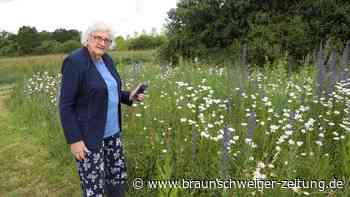 Anwohnerin entsetzt und sauer: Unbekannte rupfen in Wolfsburg einfach Blumen ab