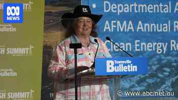 Gina Rinehart says Qld should give some of its islands to Elon Musk