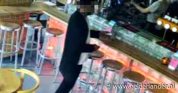 Fooienpot met 250 euro verdwijnt in jaszak: restaurant deelt beelden van brutale dief